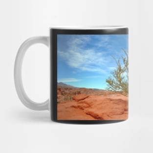 Argentine - Quebrada de las Conchas Mug